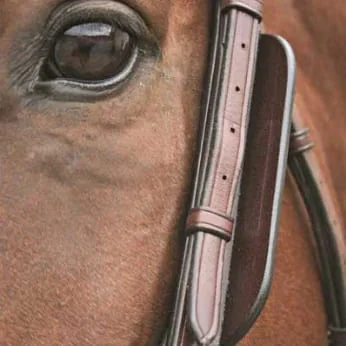 Bridle Parts