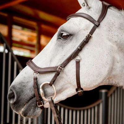 Bridles