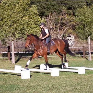 Cavaletti