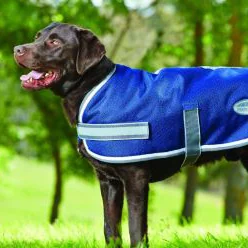 Dog Blankets