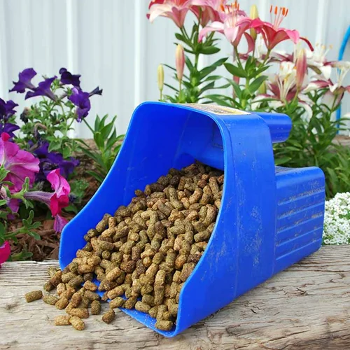 Feed Scoops