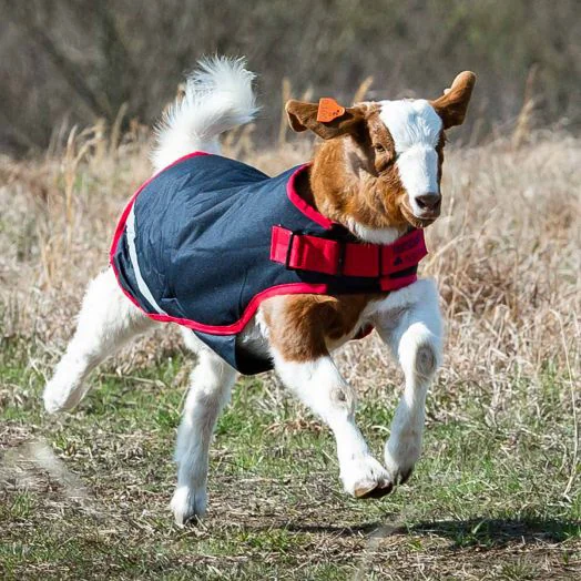 Goat Coats