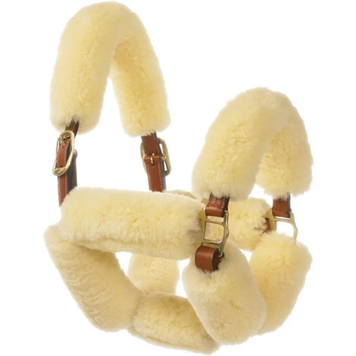 Halter Accessories