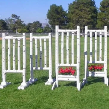 Jump Standards