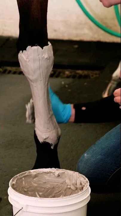 Liniments + Poultice
