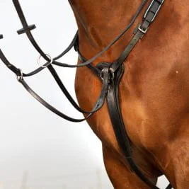 Martingales + Breastplates