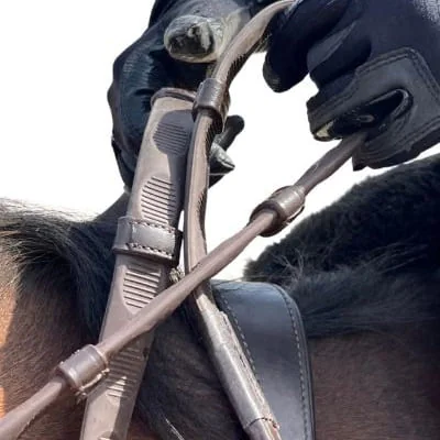 Reins