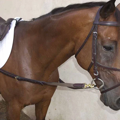 Side Reins