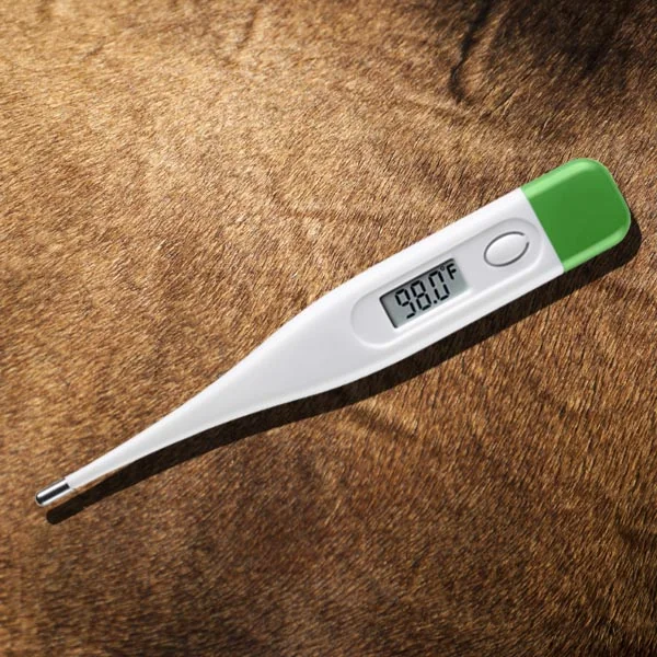 Thermometers