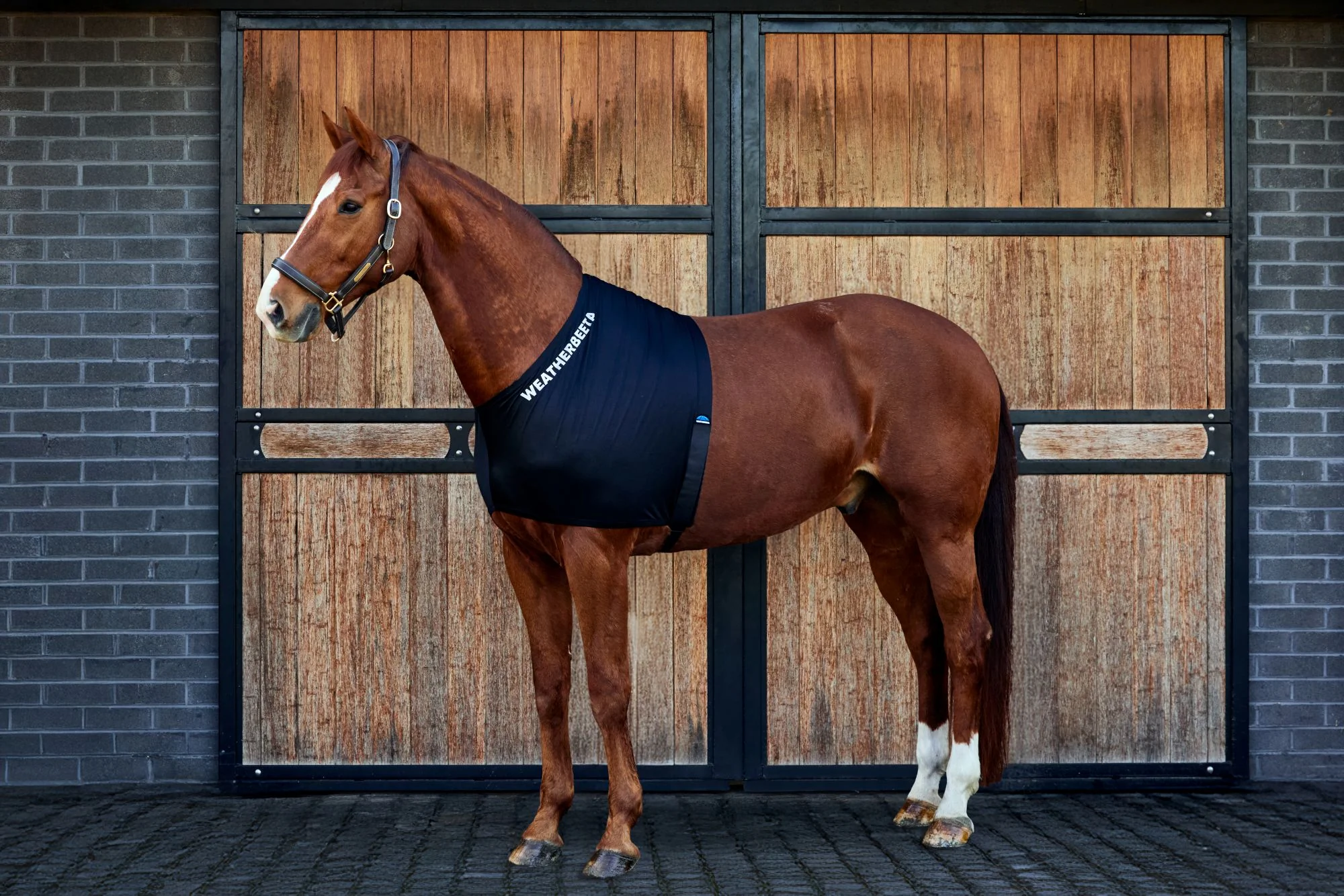 WeatherBeeta Stretch Shoulder Guard