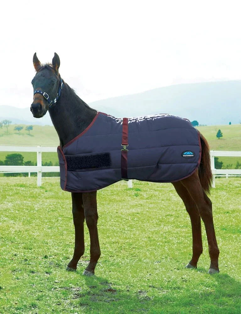 Weatherbeeta 420D Foal Standard Neck Medium 220g