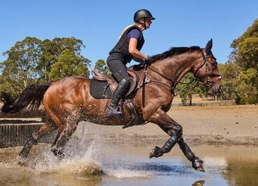 Weatherbeeta Tough-Tec Eventing Front Boots
