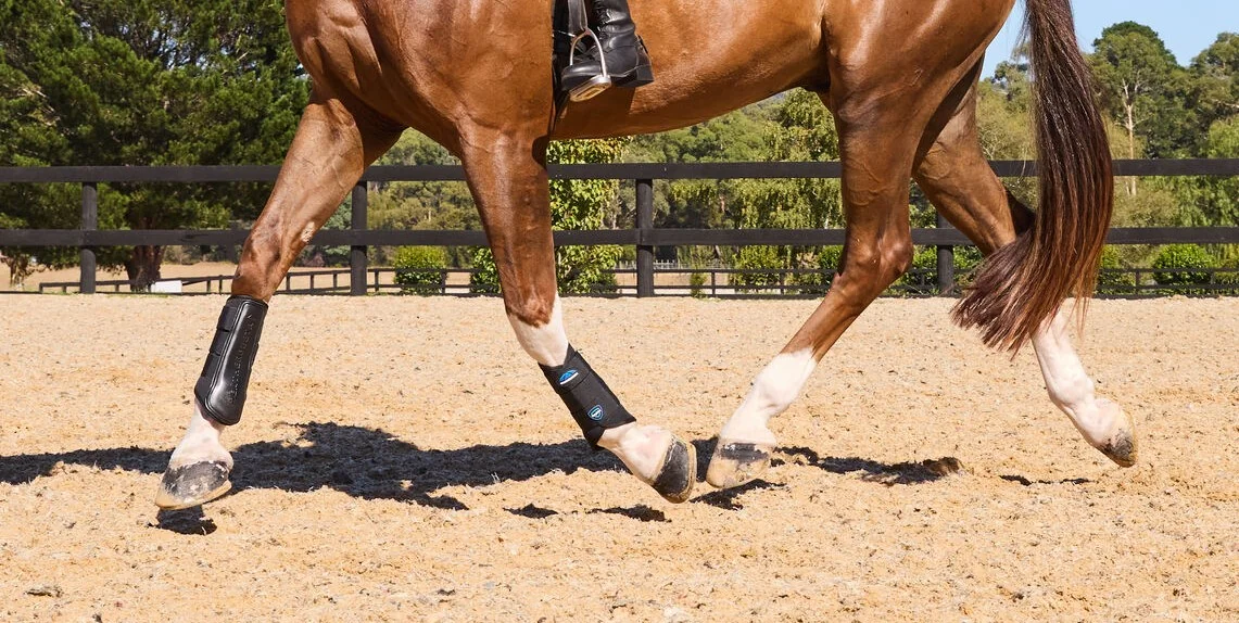 Weatherbeeta Tough-Tec Prime Brushing Boots