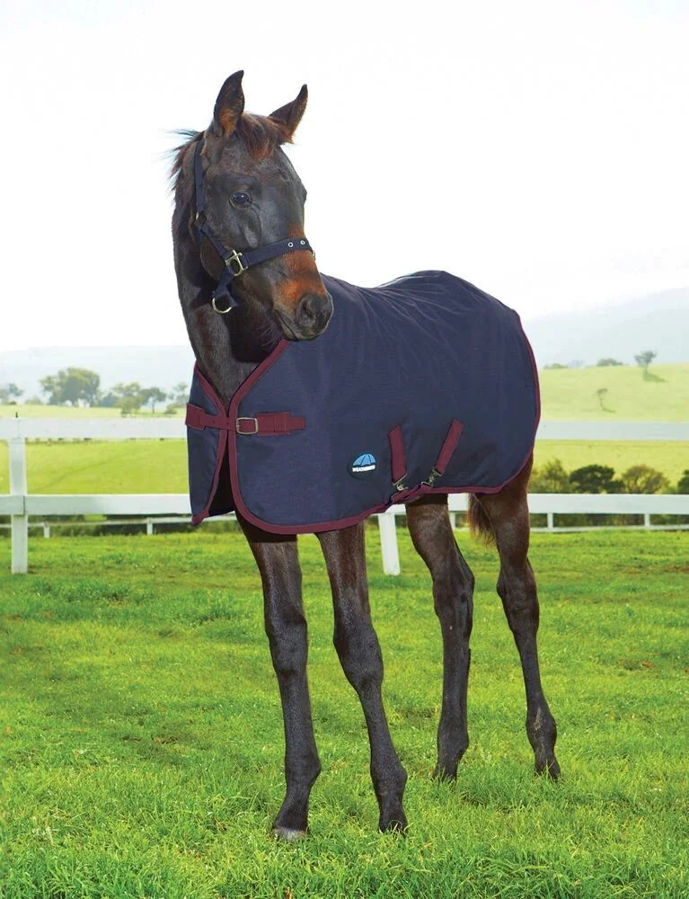 Weatherbeeta 200D Foal Standard Neck 220G