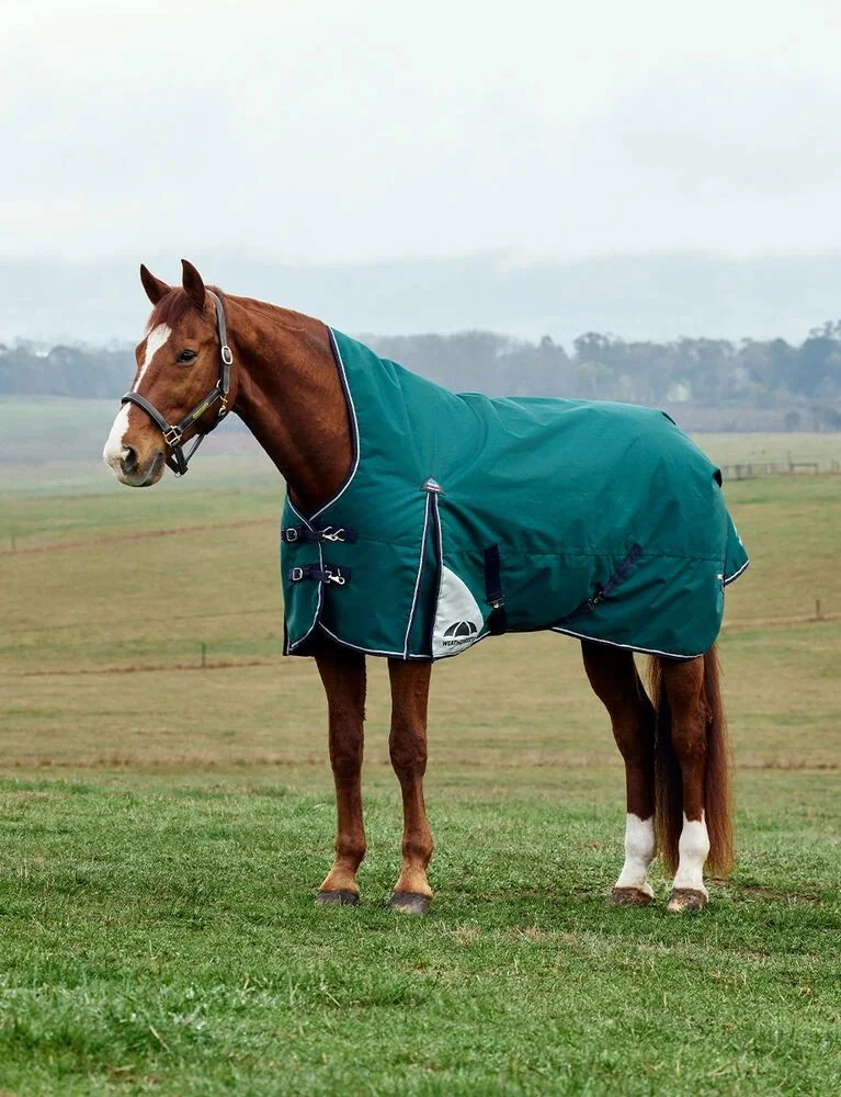 Weatherbeeta Comfittec Plus Dynamic Turnout High Neck 220G