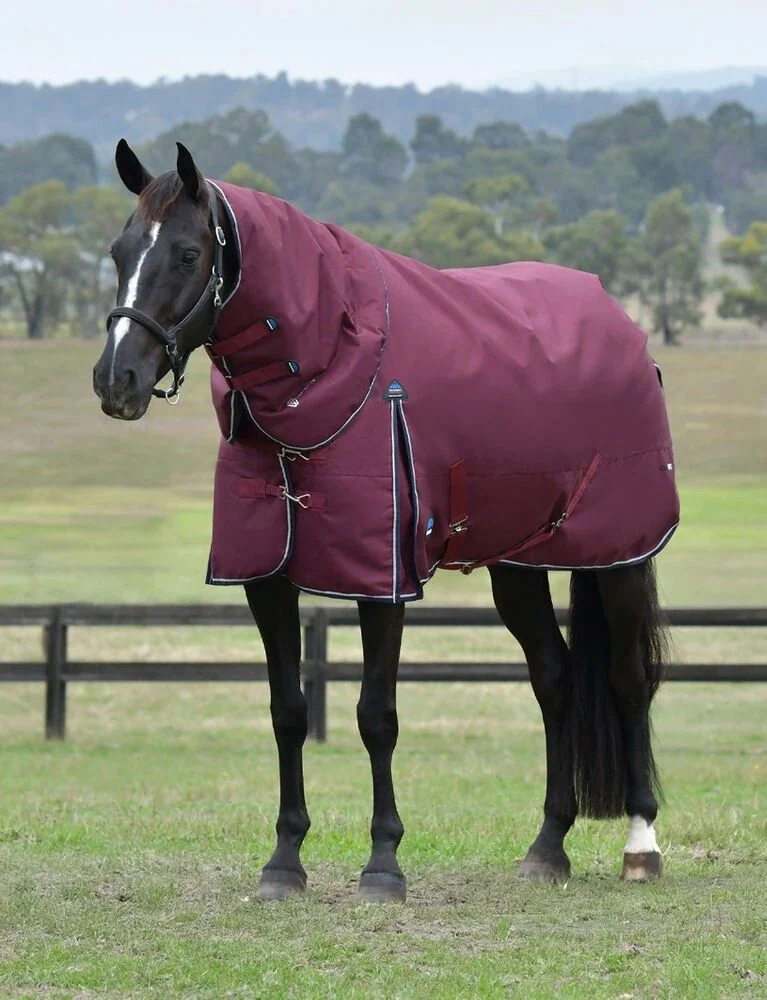 Weatherbeeta ComFiTec Essential Turnout Detach-A-Neck 220G