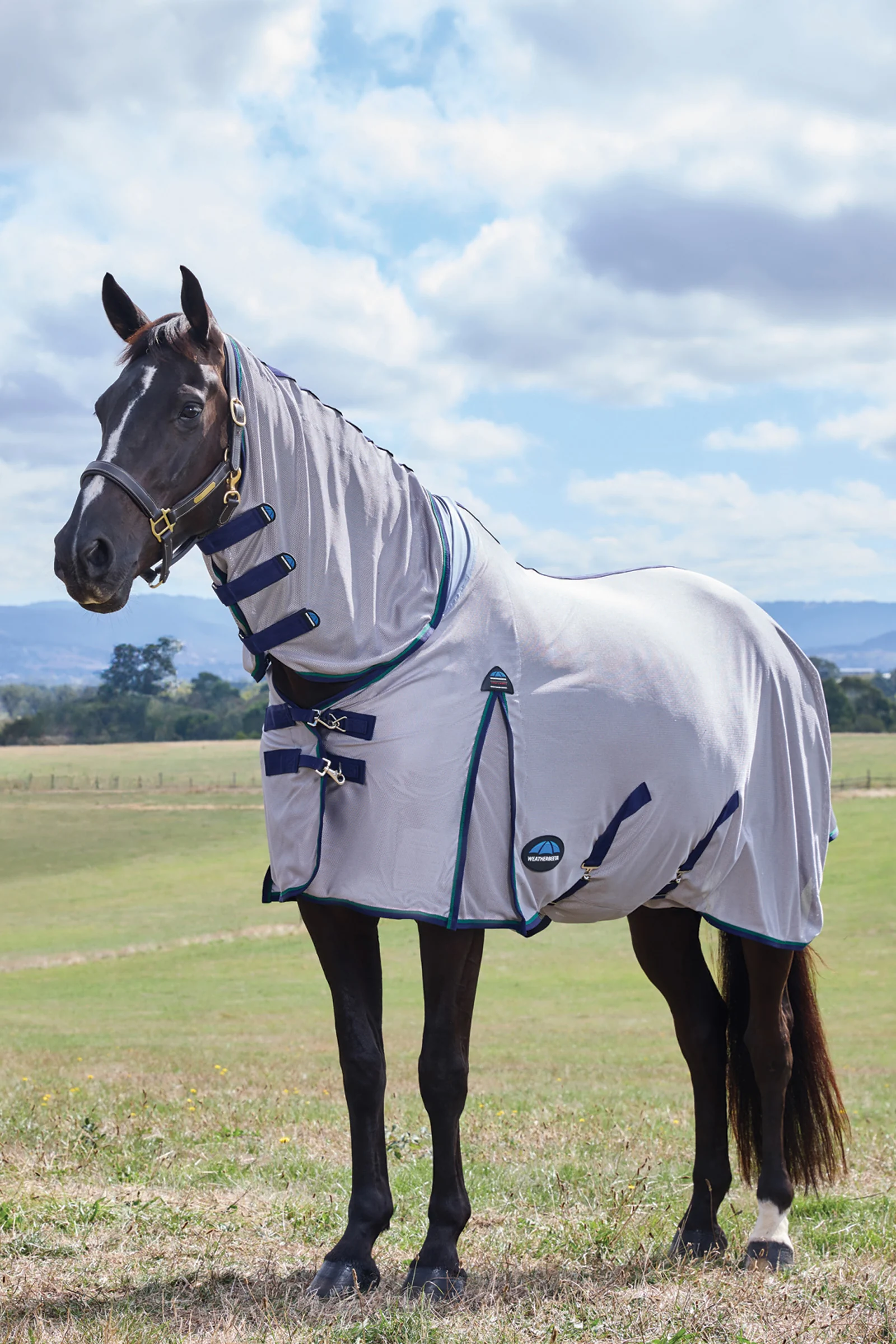Weatherbeeta Comfitec Zephyr Fly Sheet Combo