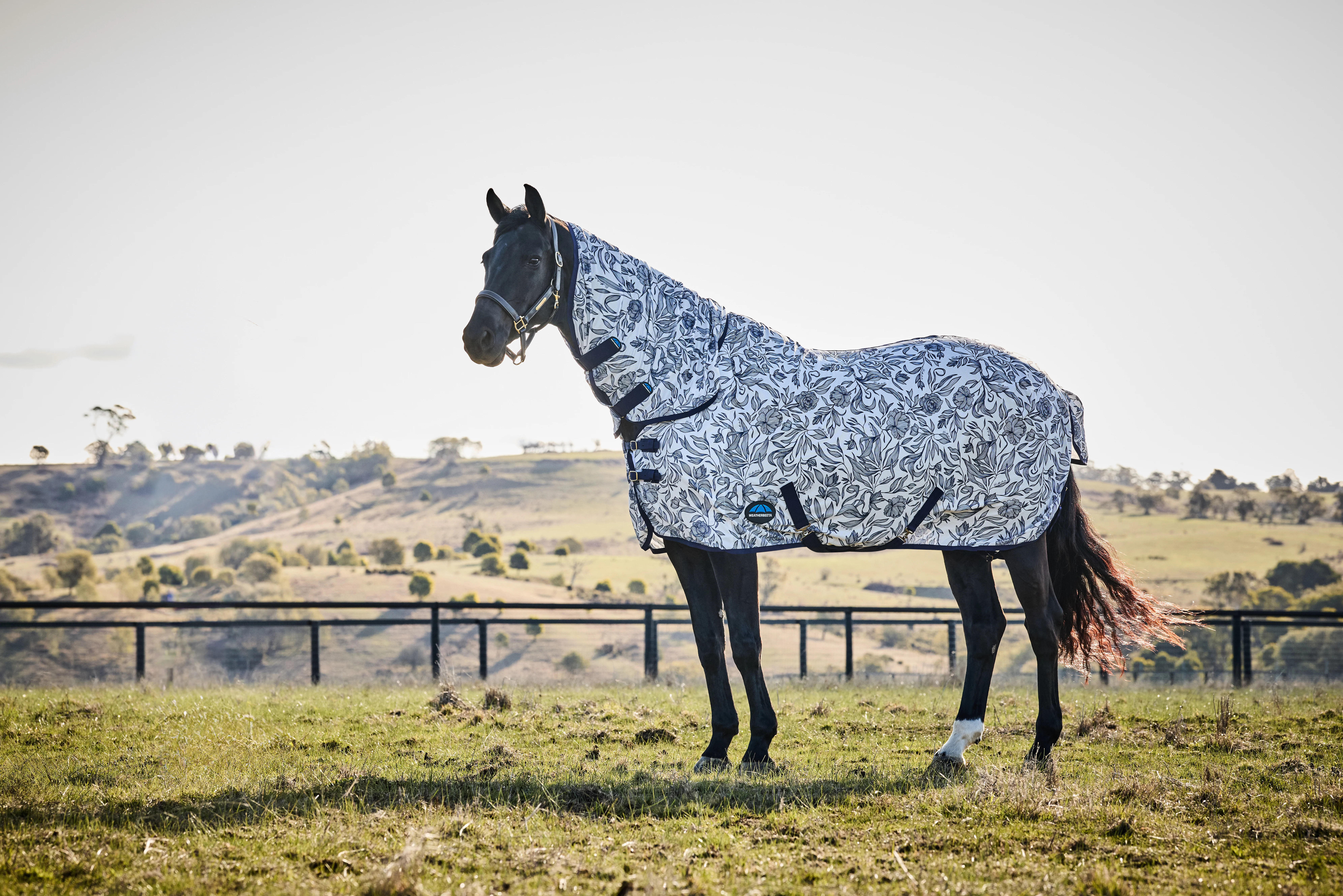 Weatherbeeta Comfitec Limited Edition Fly Sheet Combo
