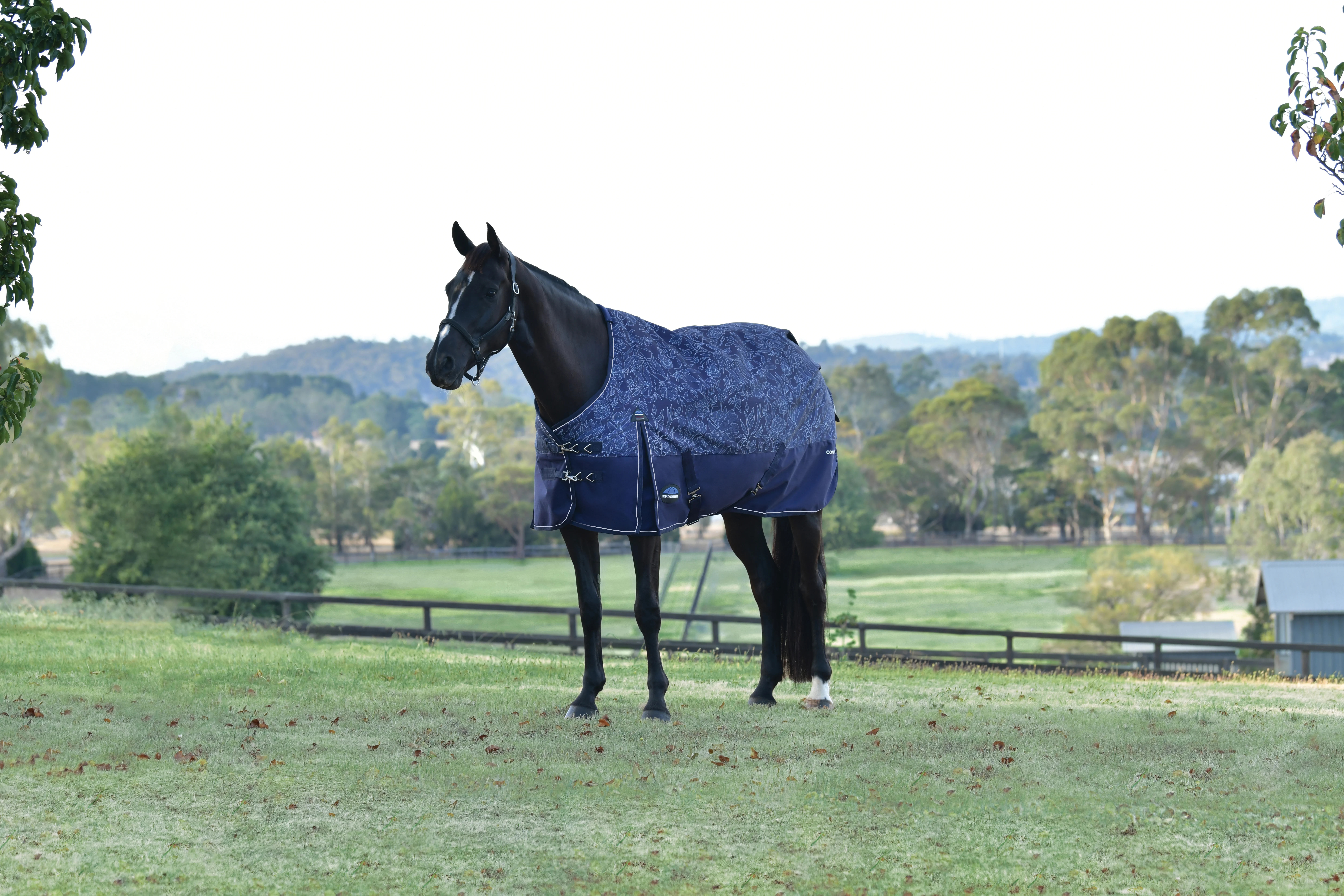 Weatherbeeta Comfitec Limitied Edition Turnout 0G