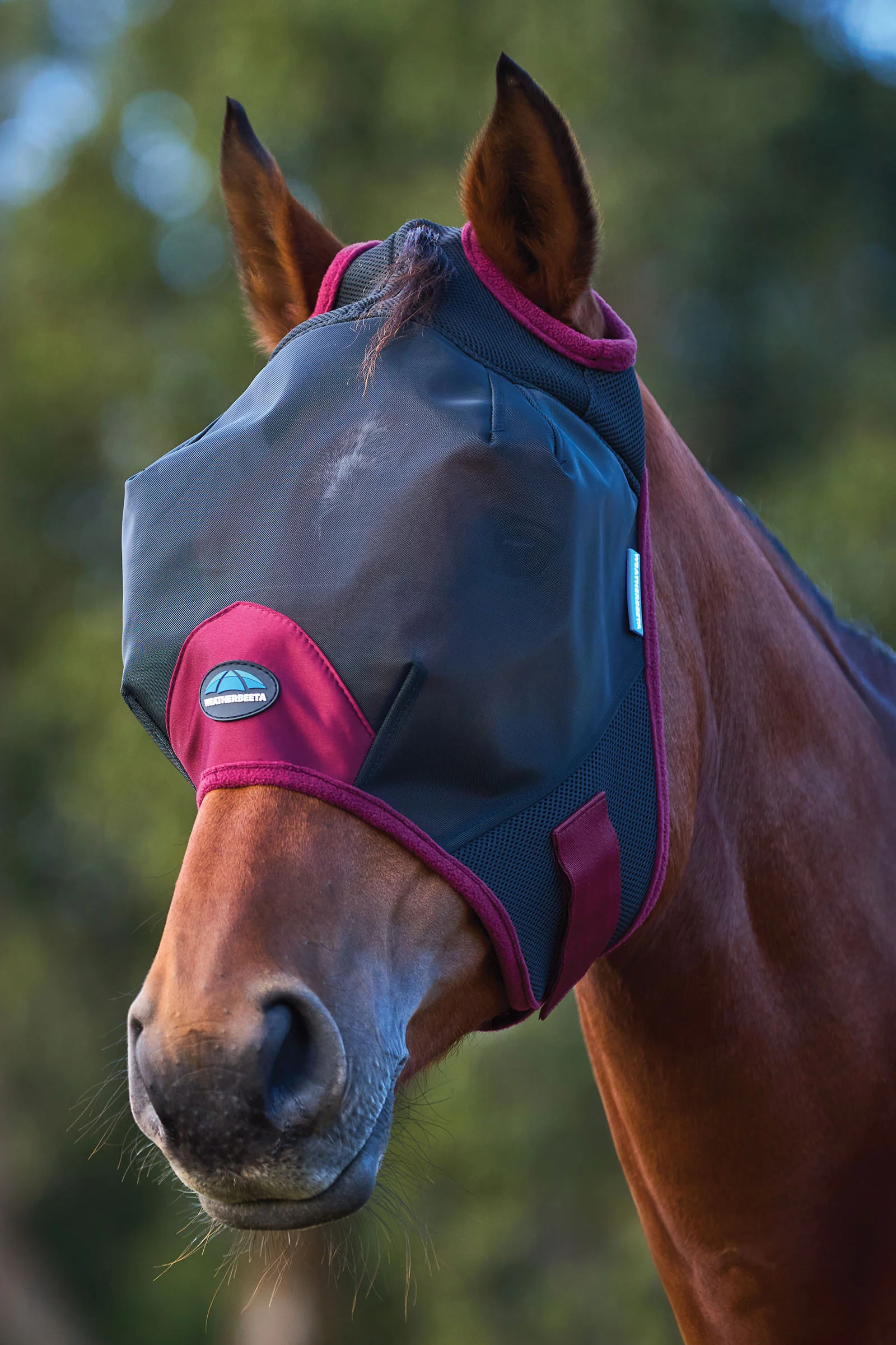 Weatherbeeta Comfitec Fine Mesh Fly Mask