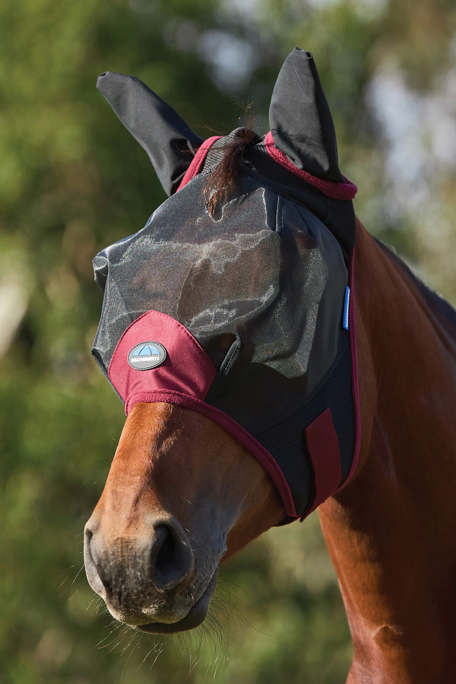 Weatherbeeta Comfitec Fine Mesh Fly Mask with Ears