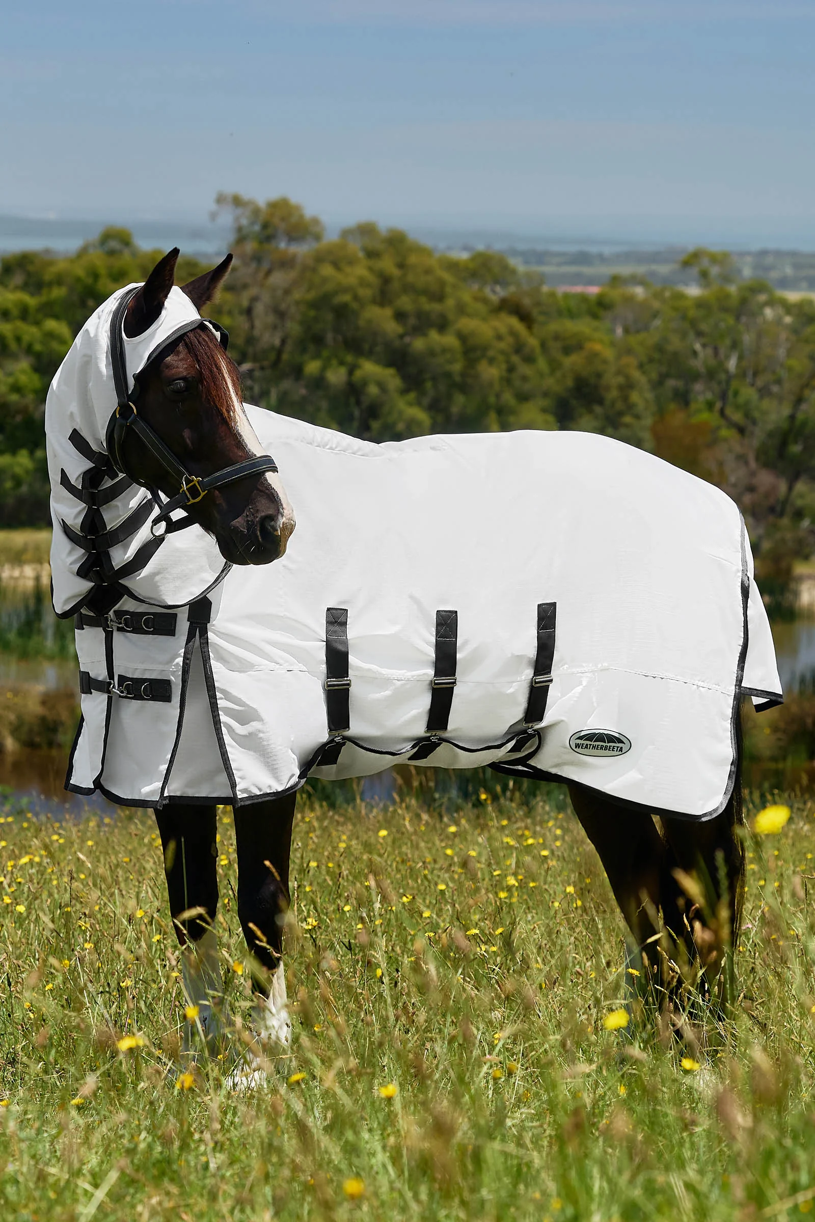 Weatherbeeta Comfitec Sweet Itch Shield Fly Sheet Combo