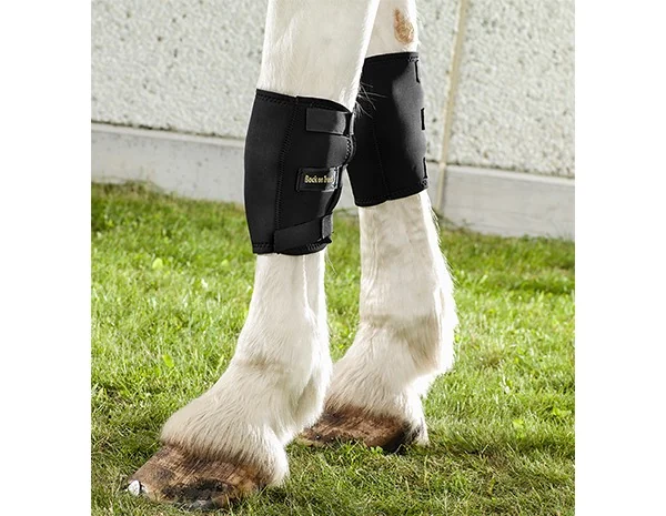 Back on Track Knee Boots