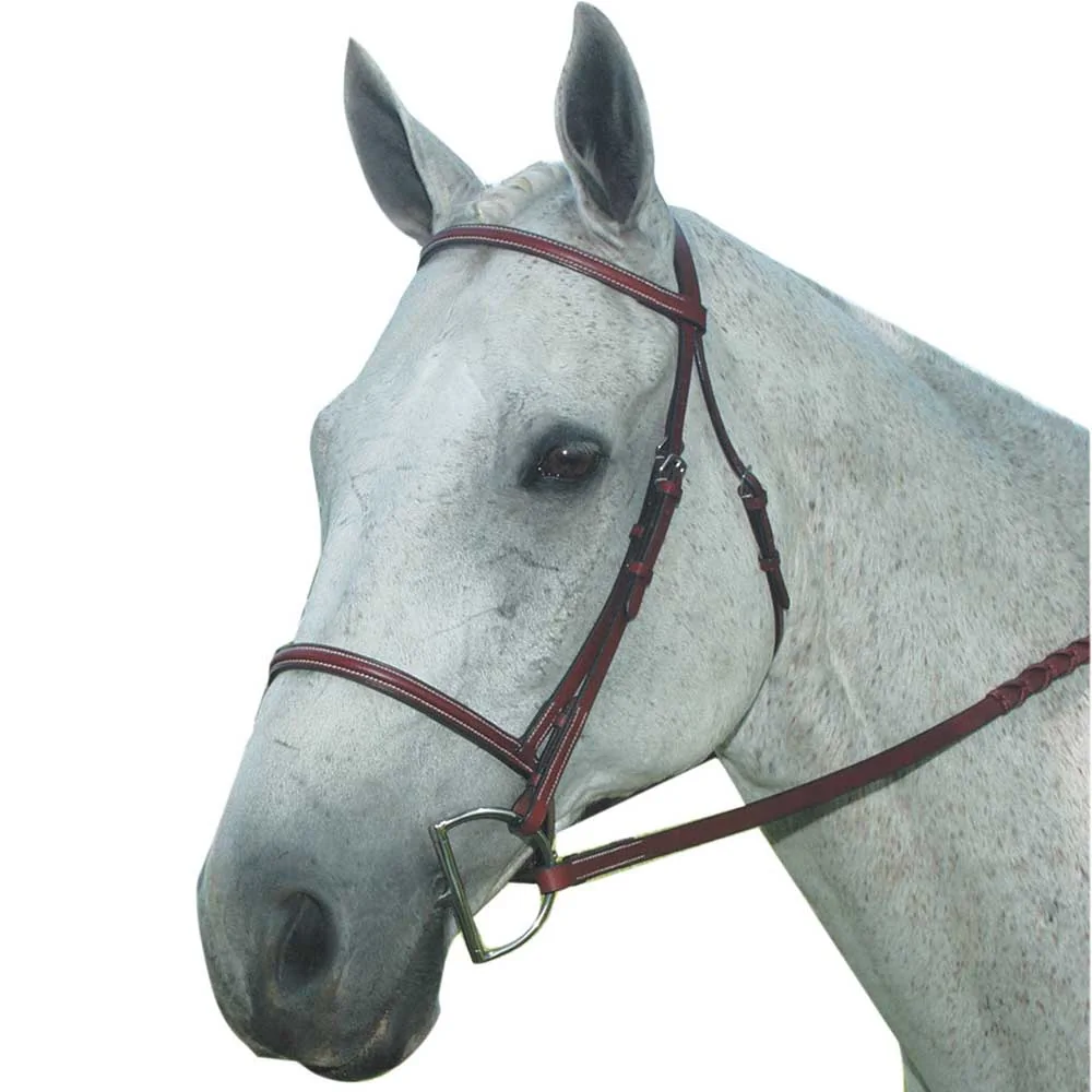 Kincade Plain Raised Bridle