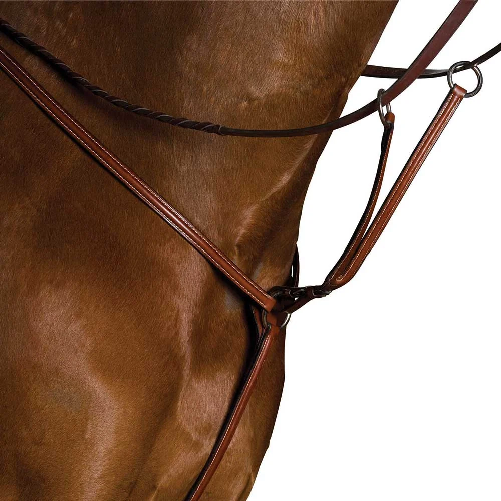 Kincade Raised Breastplate with Running Martingale