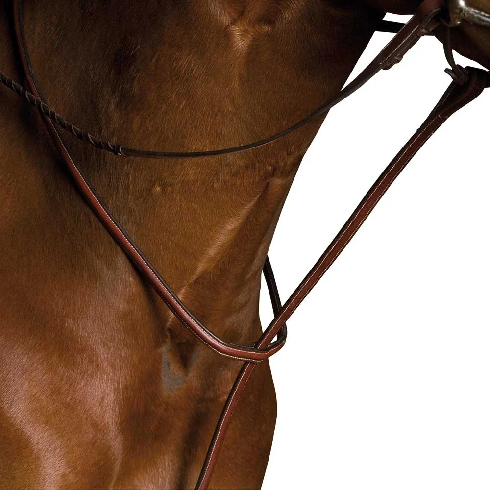 Kincade Raised Standing Martingale