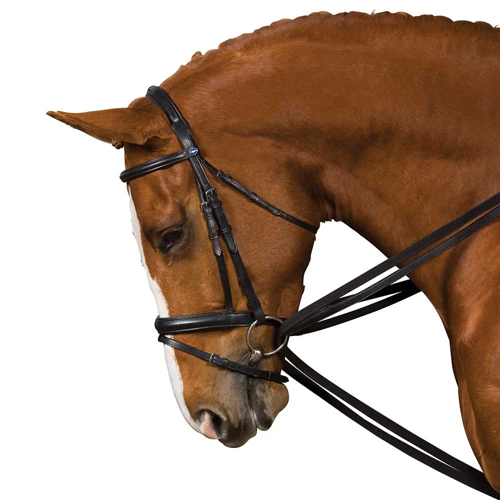 Kincade Leather Draw Reins