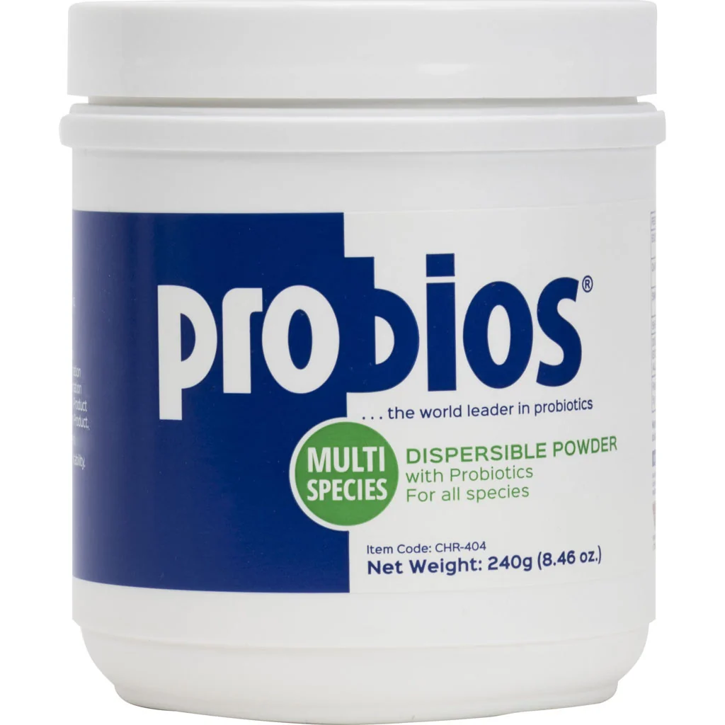 ProBios Powder 240 gm