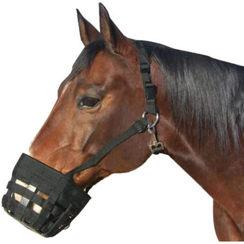 Best Friend Deluxe Grazing Muzzle - LGHOR