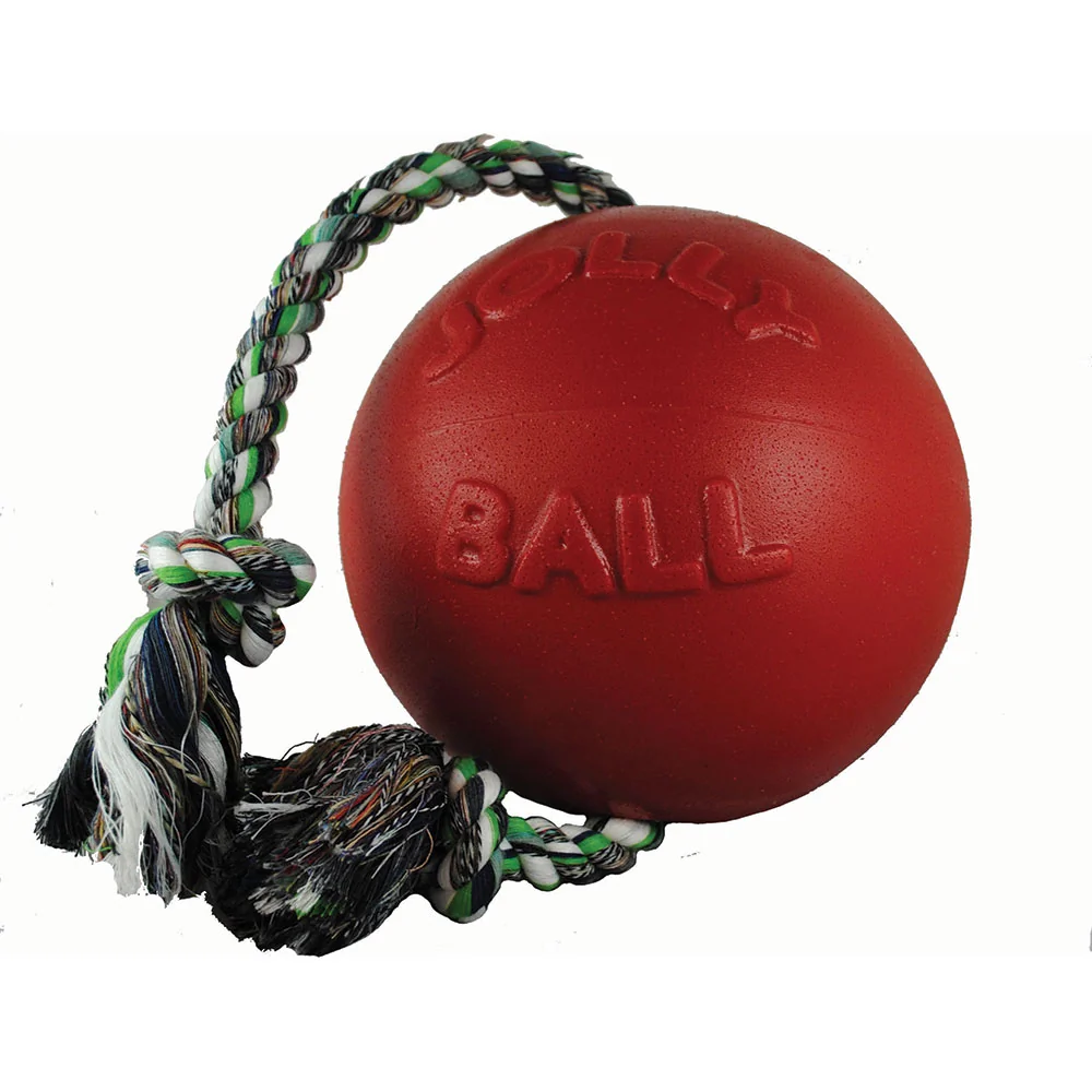 Jolly Pets Romp N Roll 8 inch Dog Ball
