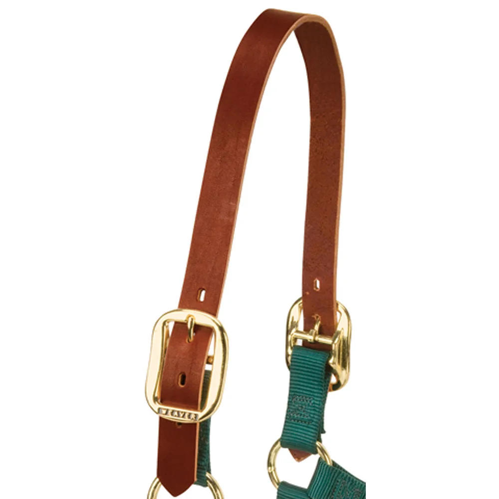 Breakaway Leather Halter Crownpiece Replacement