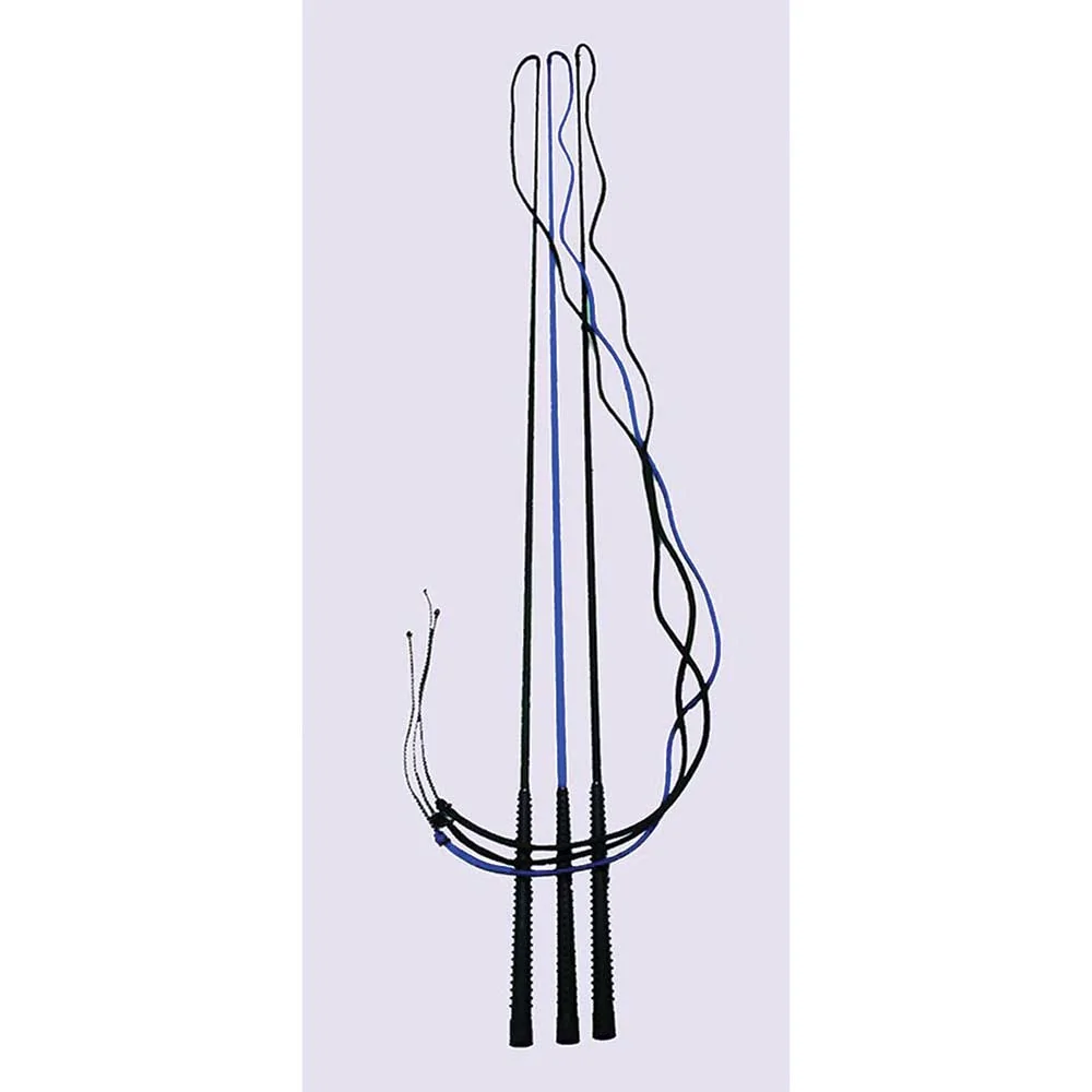Basic Lunge Whip Black