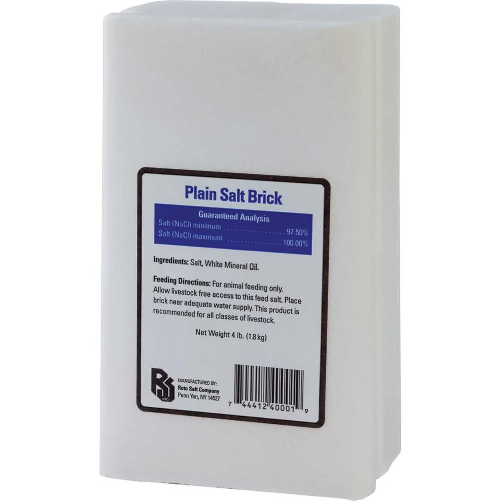 Salt Brick Plain
