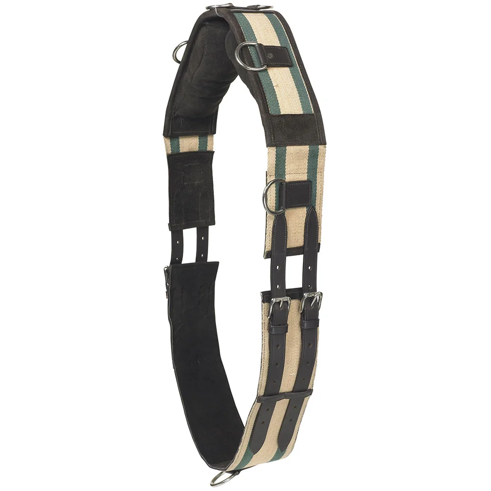 Camelot Web Training Surcingle Horse/Pony