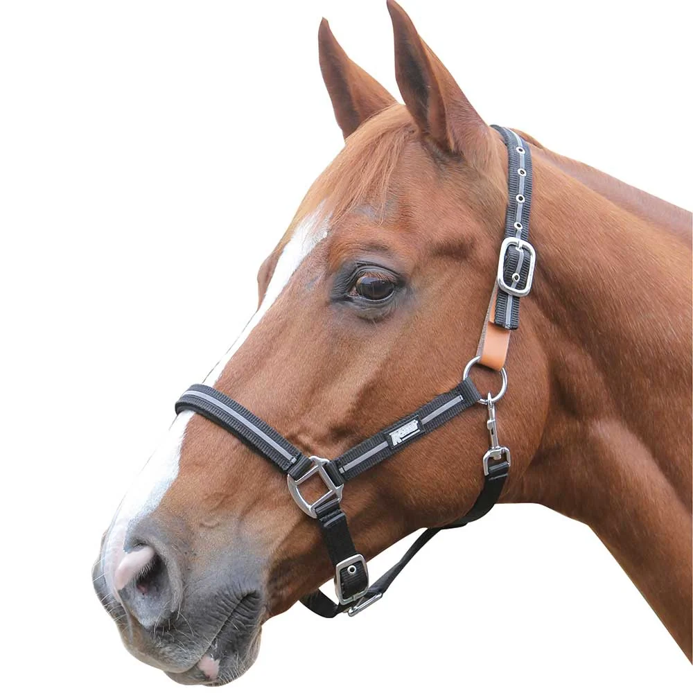 Roma Reflective Breakaway Halter