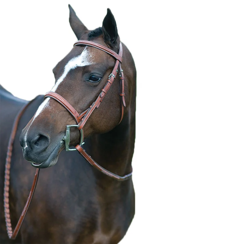 Rodrigo Fancy Stitched Wide Noseband Show Bridle