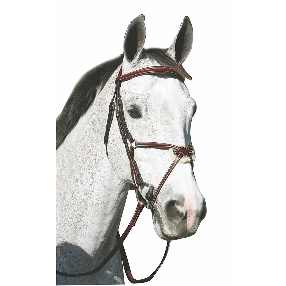 HDR Pro Mono Crown Figure 8 Bridle with Reins