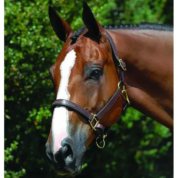 Vespucci Fancy Stitched Leather Halter