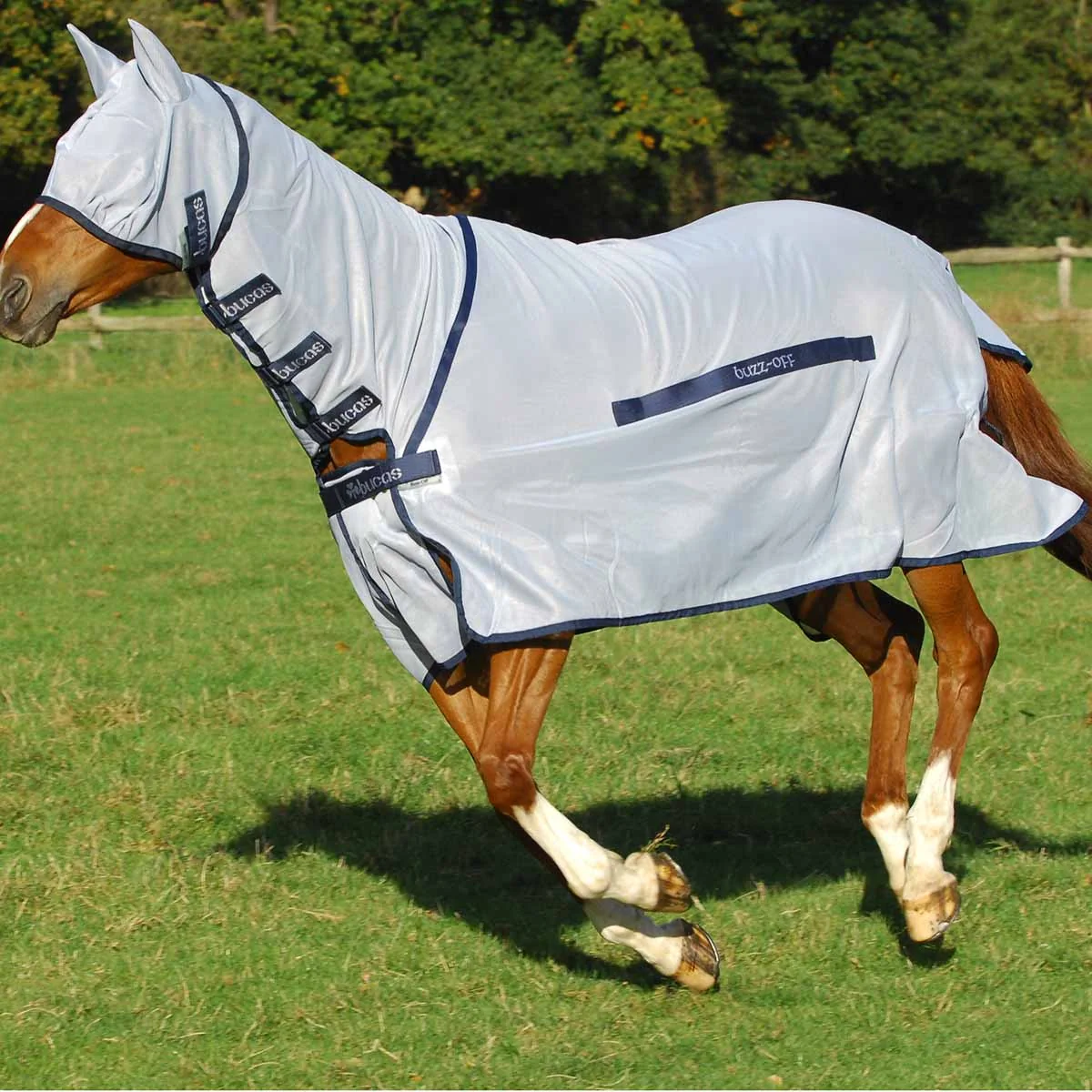Bucas Buzz Off Full Neck Fly Sheet