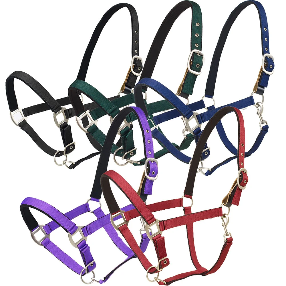Centaur Cushion Web Breakaway Halter