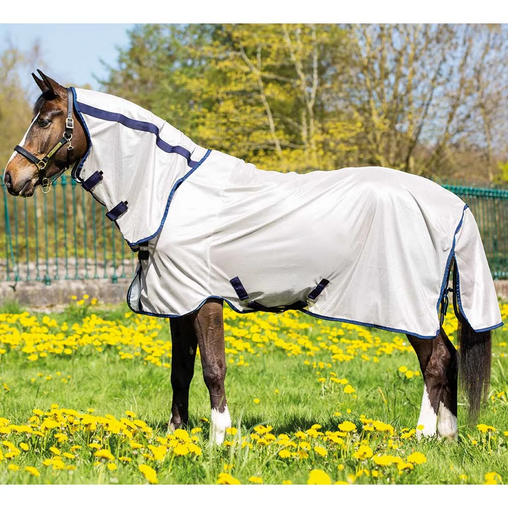 Amigo Mio Fly Sheet - Closeout Colors