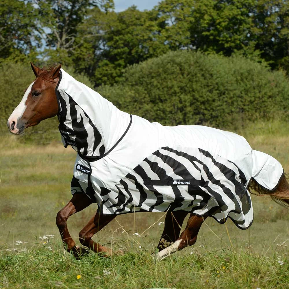 Bucas Zebra Stripe Buzz Off Full Neck Rain Sheet