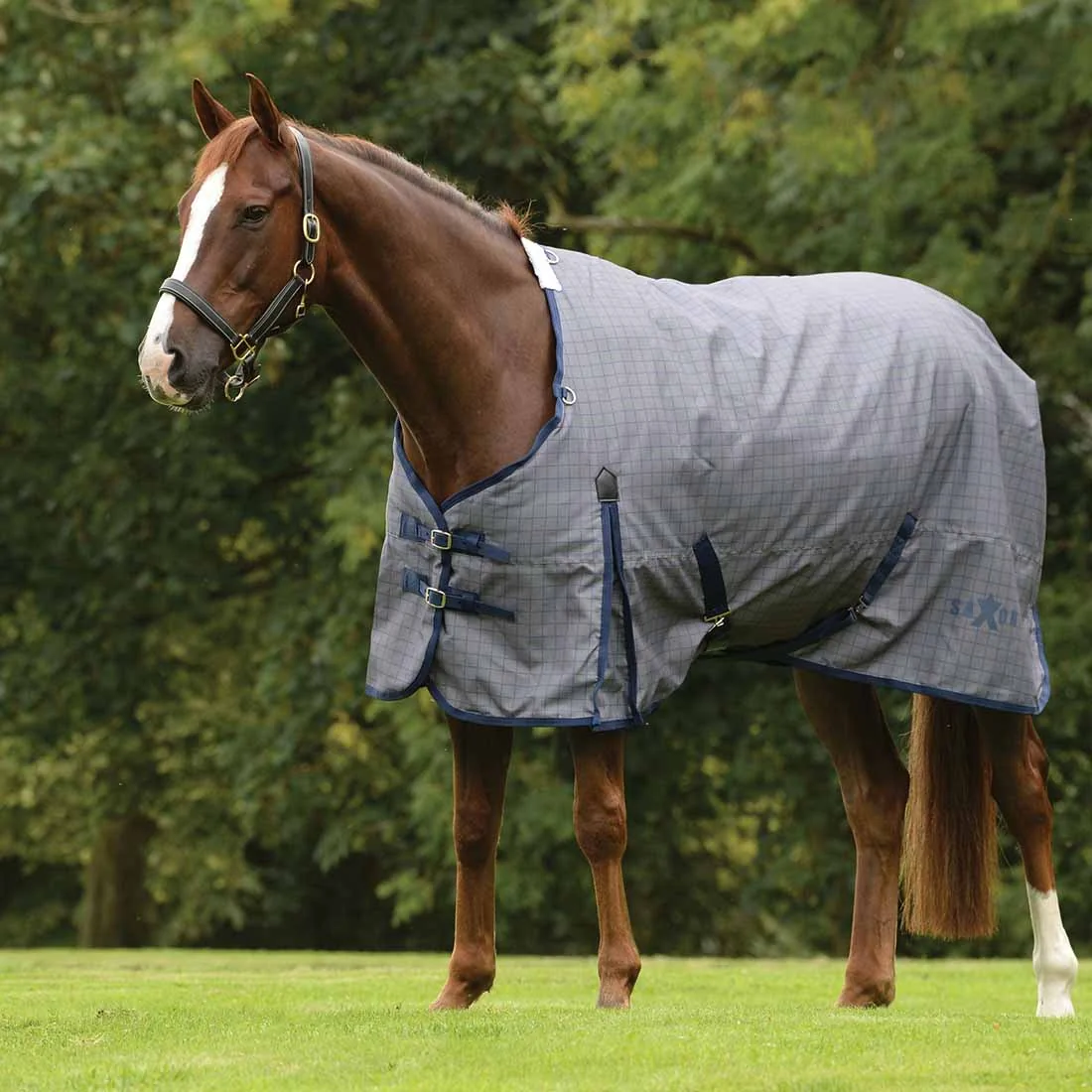 Saxon 600D Standard Neck Medium Weight II Turnout