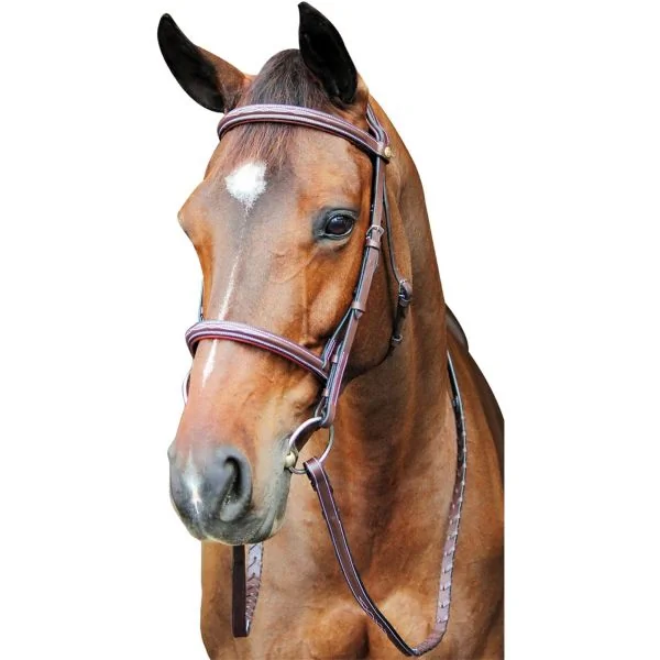 HDR Pro Fancy Raised Comfort Crown Padded Bridle