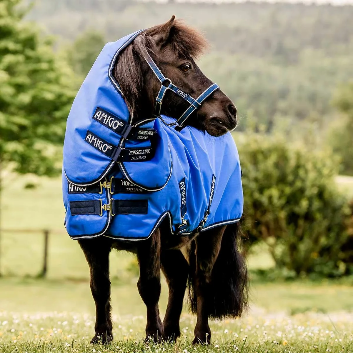 Amigo Petite Hero 6 Plus Light Weight Turnout