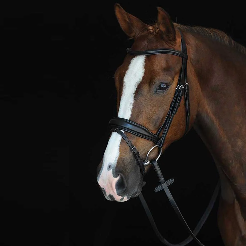 Collegiate Monocrown Padded Raised Flash Bridle